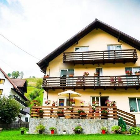Casa Anastasia - Moieciu De Sus Moeciu De Sus Dış mekan fotoğraf