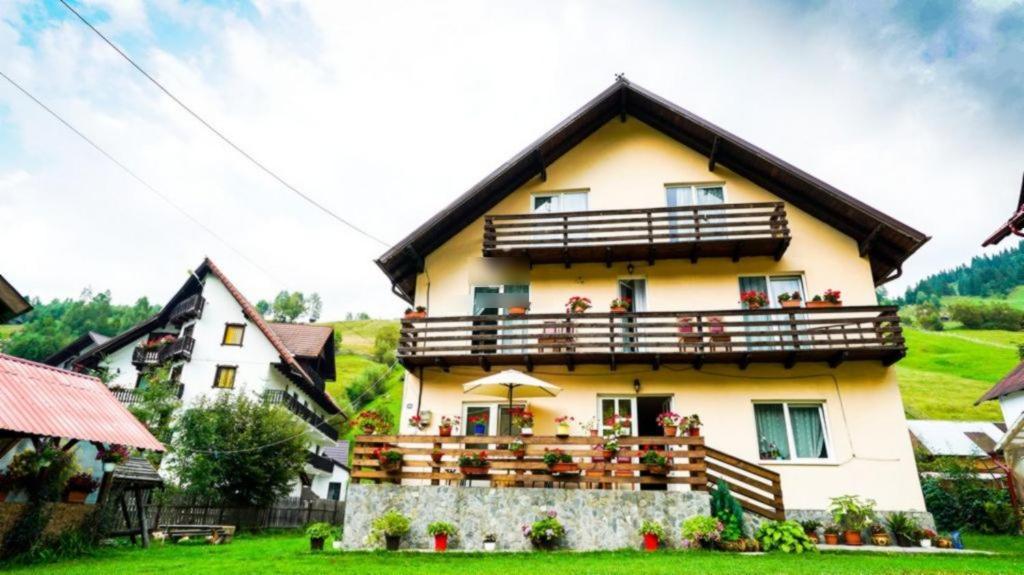Casa Anastasia - Moieciu De Sus Moeciu De Sus Dış mekan fotoğraf
