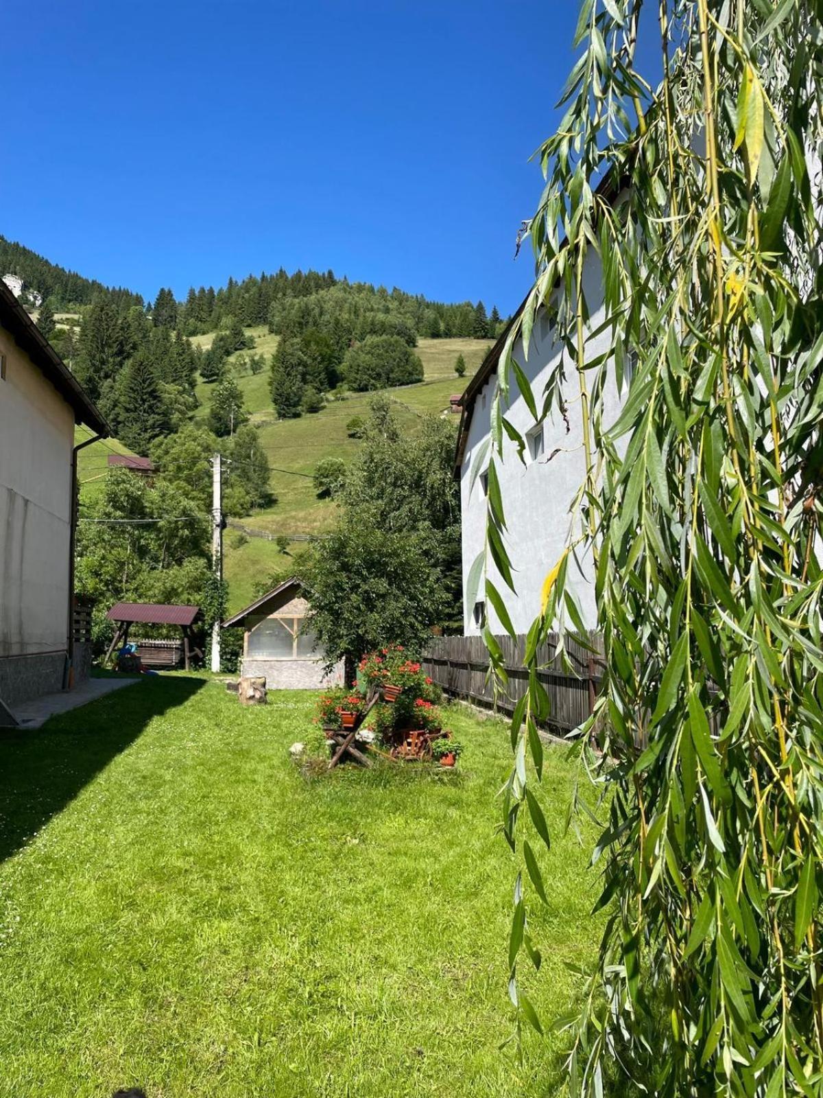 Casa Anastasia - Moieciu De Sus Moeciu De Sus Dış mekan fotoğraf